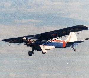 Click aqu� para ampliar esta imagennet.