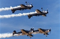 Click aqu� para ampliar esta imagen...