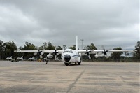 Click aqu� para ampliar esta imagen...