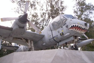 Click aqu� para ver esta foto en Photobucket