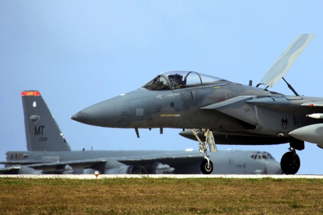 Él águila y el perro viejo